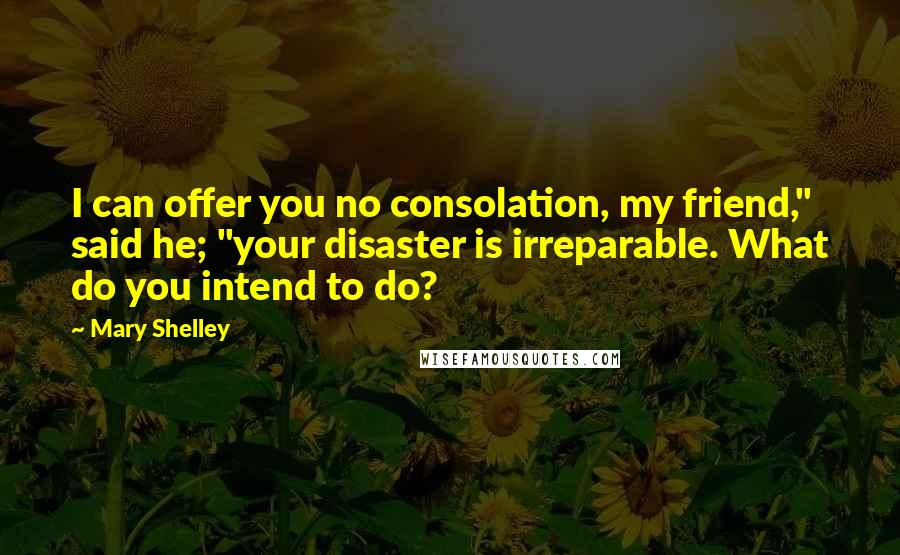 Mary Shelley Quotes: I can offer you no consolation, my friend," said he; "your disaster is irreparable. What do you intend to do?