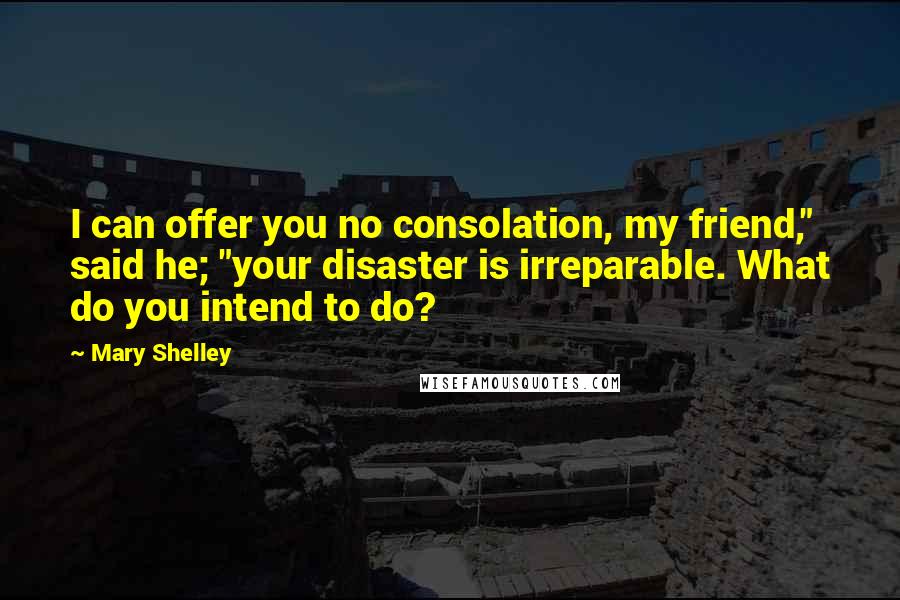 Mary Shelley Quotes: I can offer you no consolation, my friend," said he; "your disaster is irreparable. What do you intend to do?