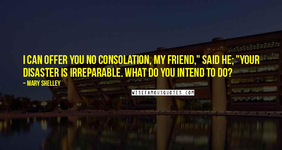 Mary Shelley Quotes: I can offer you no consolation, my friend," said he; "your disaster is irreparable. What do you intend to do?