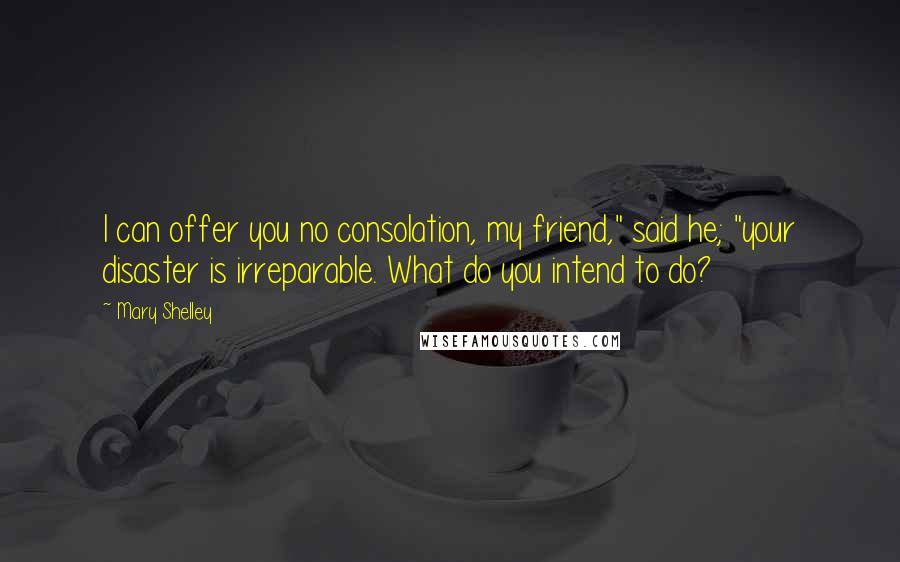 Mary Shelley Quotes: I can offer you no consolation, my friend," said he; "your disaster is irreparable. What do you intend to do?