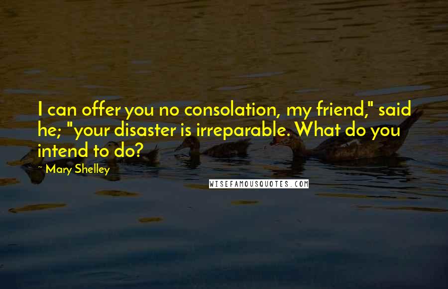 Mary Shelley Quotes: I can offer you no consolation, my friend," said he; "your disaster is irreparable. What do you intend to do?