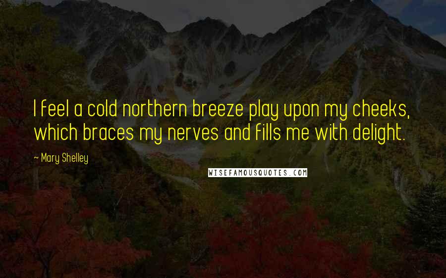 Mary Shelley Quotes: I feel a cold northern breeze play upon my cheeks, which braces my nerves and fills me with delight.