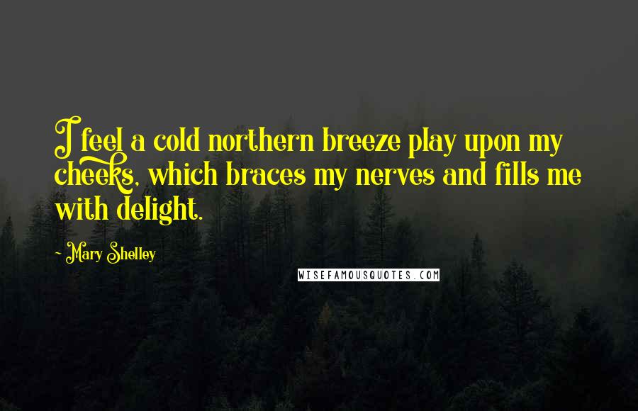 Mary Shelley Quotes: I feel a cold northern breeze play upon my cheeks, which braces my nerves and fills me with delight.