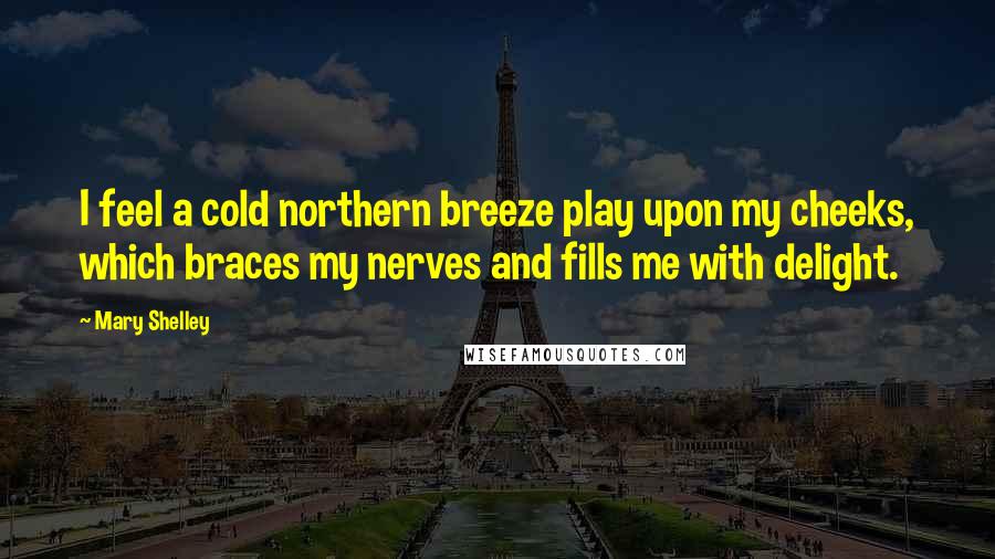 Mary Shelley Quotes: I feel a cold northern breeze play upon my cheeks, which braces my nerves and fills me with delight.