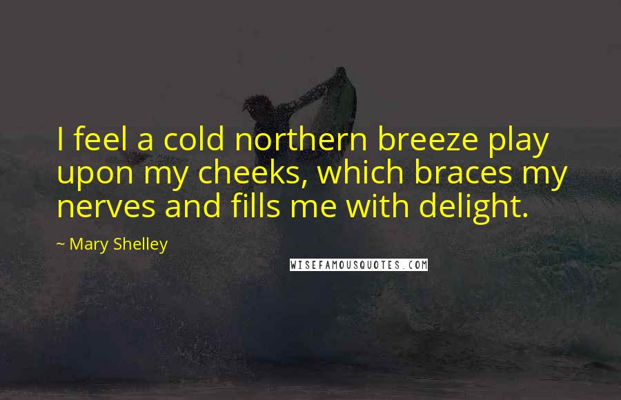 Mary Shelley Quotes: I feel a cold northern breeze play upon my cheeks, which braces my nerves and fills me with delight.