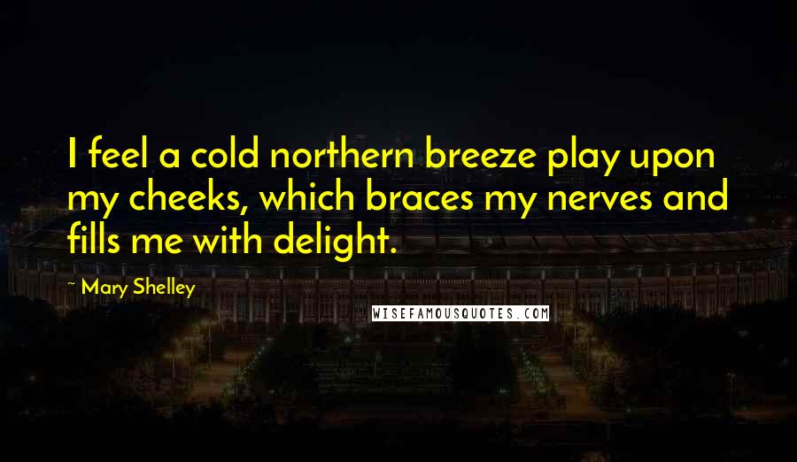 Mary Shelley Quotes: I feel a cold northern breeze play upon my cheeks, which braces my nerves and fills me with delight.