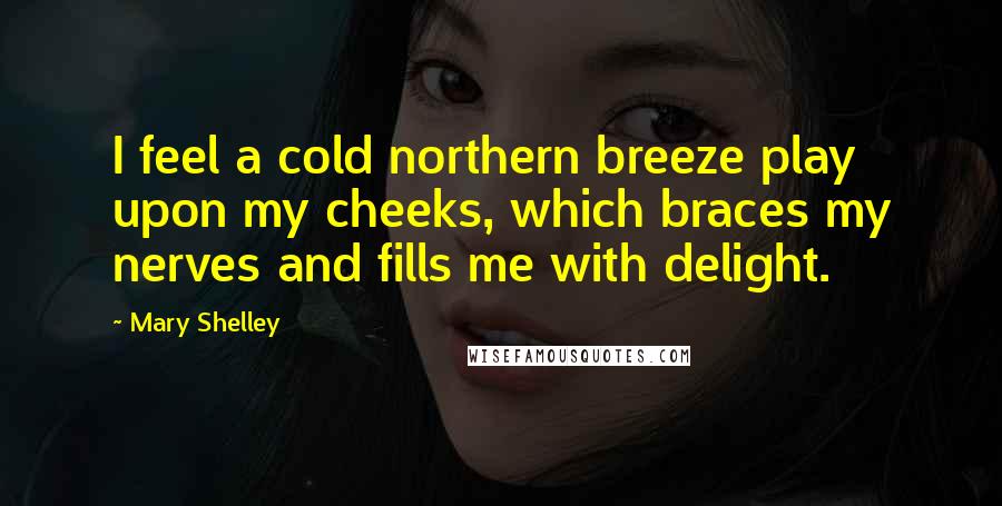 Mary Shelley Quotes: I feel a cold northern breeze play upon my cheeks, which braces my nerves and fills me with delight.