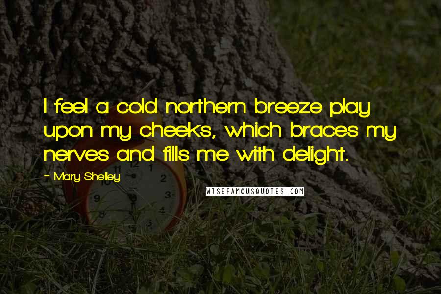 Mary Shelley Quotes: I feel a cold northern breeze play upon my cheeks, which braces my nerves and fills me with delight.