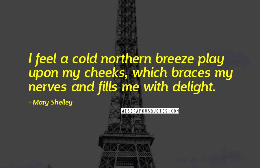 Mary Shelley Quotes: I feel a cold northern breeze play upon my cheeks, which braces my nerves and fills me with delight.