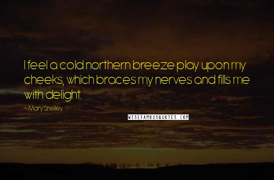 Mary Shelley Quotes: I feel a cold northern breeze play upon my cheeks, which braces my nerves and fills me with delight.