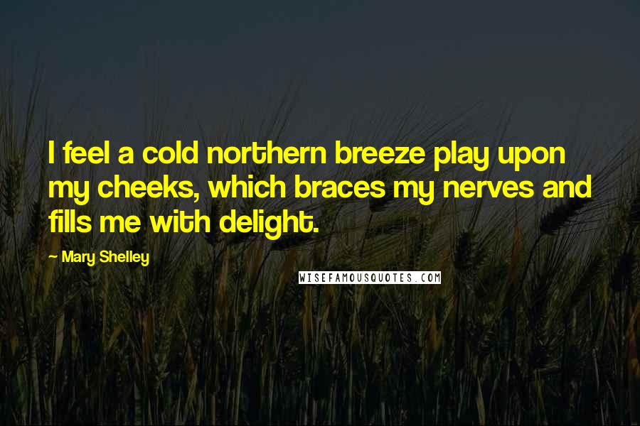 Mary Shelley Quotes: I feel a cold northern breeze play upon my cheeks, which braces my nerves and fills me with delight.