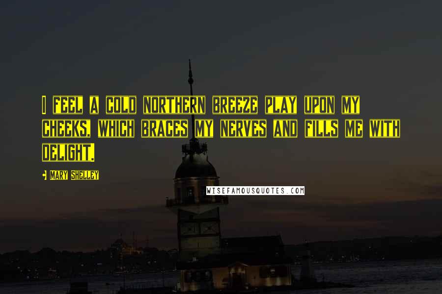 Mary Shelley Quotes: I feel a cold northern breeze play upon my cheeks, which braces my nerves and fills me with delight.