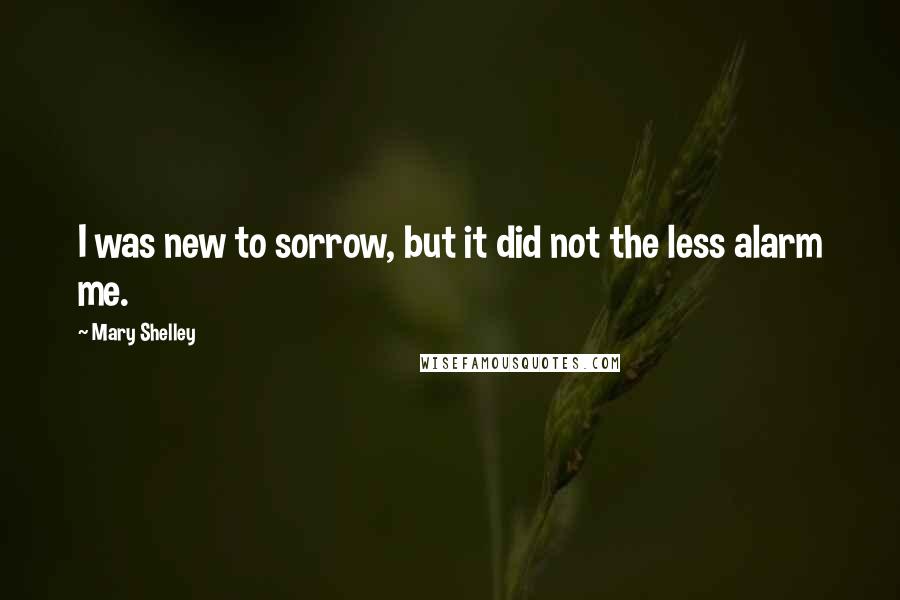 Mary Shelley Quotes: I was new to sorrow, but it did not the less alarm me.