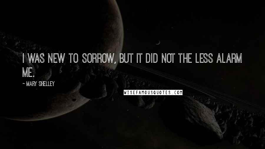 Mary Shelley Quotes: I was new to sorrow, but it did not the less alarm me.