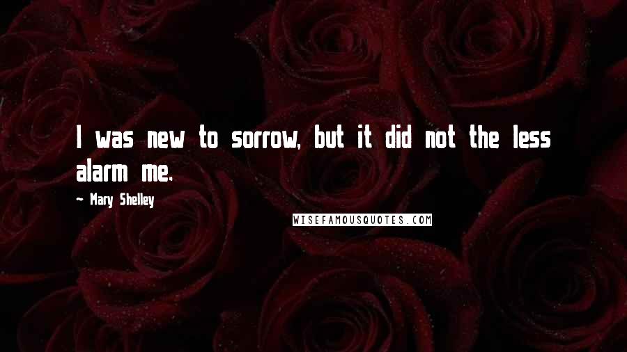 Mary Shelley Quotes: I was new to sorrow, but it did not the less alarm me.