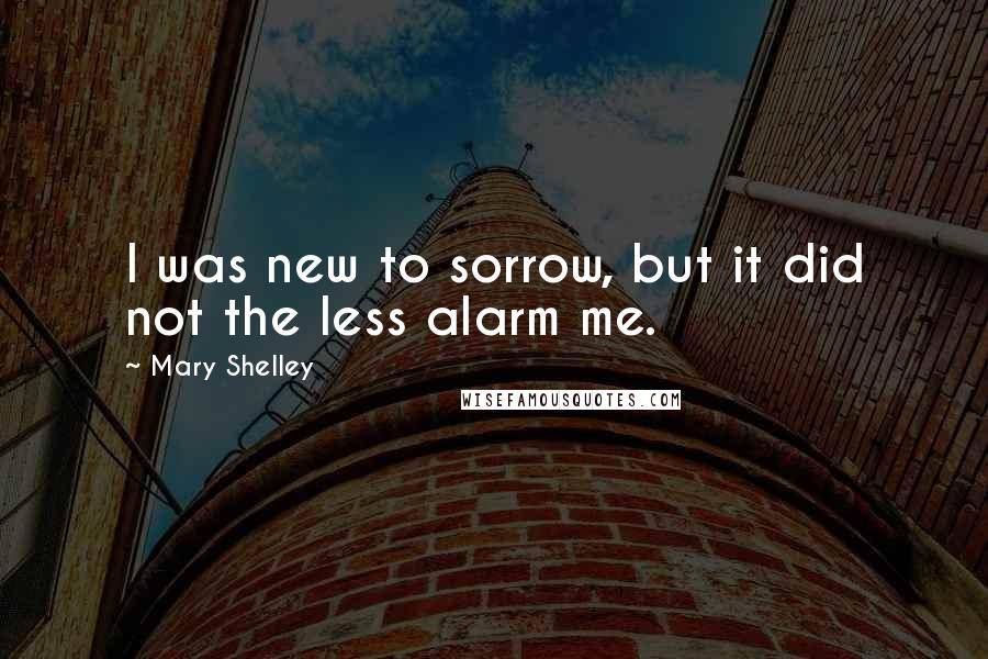 Mary Shelley Quotes: I was new to sorrow, but it did not the less alarm me.