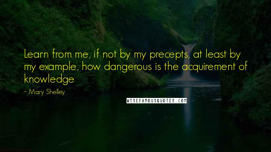 Mary Shelley Quotes: Learn from me, if not by my precepts, at least by my example, how dangerous is the acquirement of knowledge