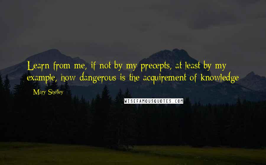 Mary Shelley Quotes: Learn from me, if not by my precepts, at least by my example, how dangerous is the acquirement of knowledge
