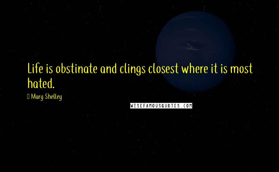 Mary Shelley Quotes: Life is obstinate and clings closest where it is most hated.