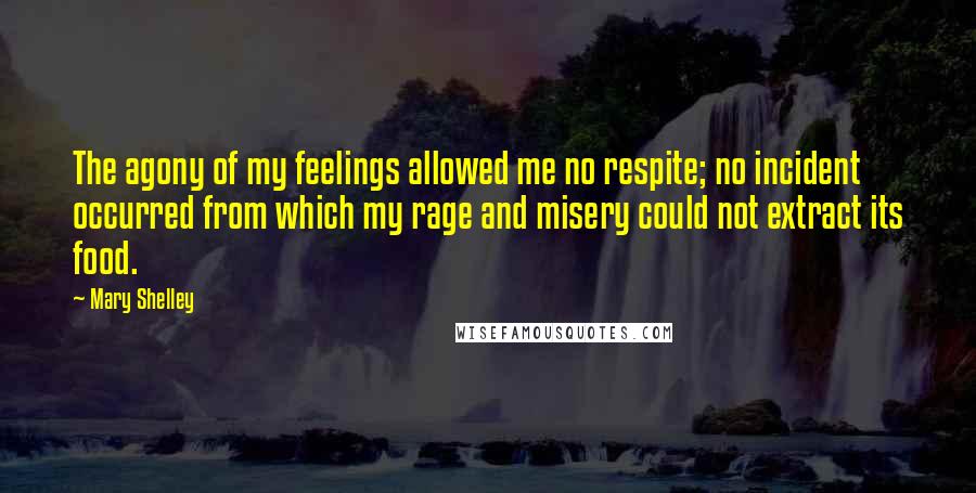 Mary Shelley Quotes: The agony of my feelings allowed me no respite; no incident occurred from which my rage and misery could not extract its food.