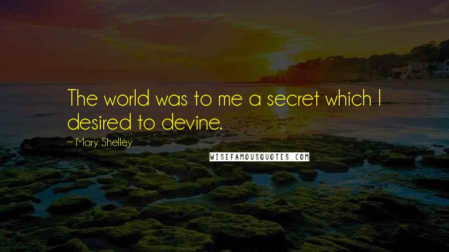 Mary Shelley Quotes: The world was to me a secret which I desired to devine.
