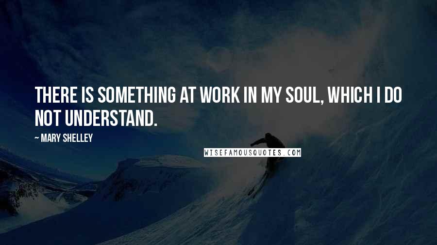 Mary Shelley Quotes: There is something at work in my soul, which I do not understand.
