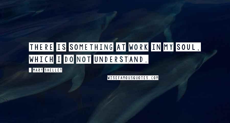 Mary Shelley Quotes: There is something at work in my soul, which I do not understand.