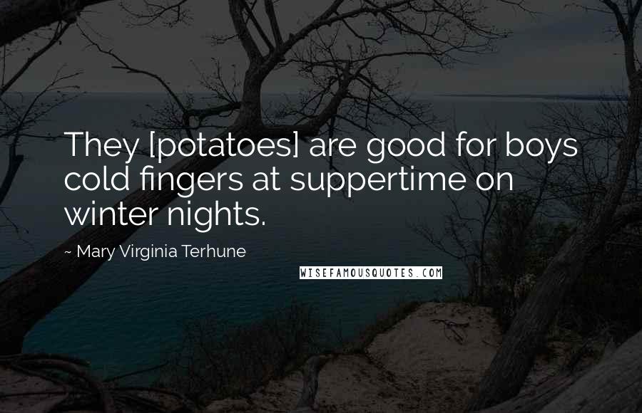 Mary Virginia Terhune Quotes: They [potatoes] are good for boys cold fingers at suppertime on winter nights.