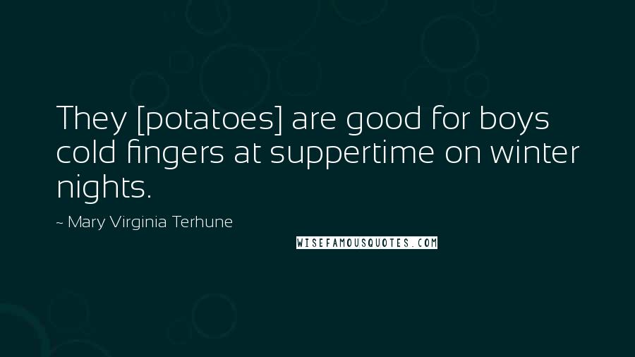 Mary Virginia Terhune Quotes: They [potatoes] are good for boys cold fingers at suppertime on winter nights.