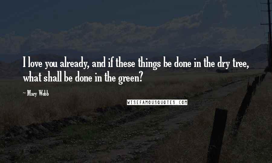 Mary Webb Quotes: I love you already, and if these things be done in the dry tree, what shall be done in the green?