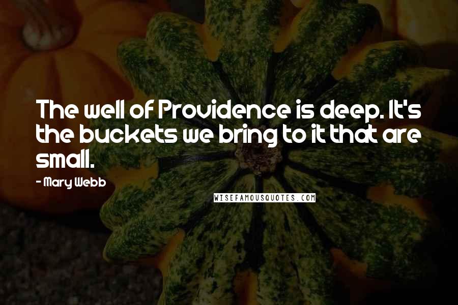Mary Webb Quotes: The well of Providence is deep. It's the buckets we bring to it that are small.