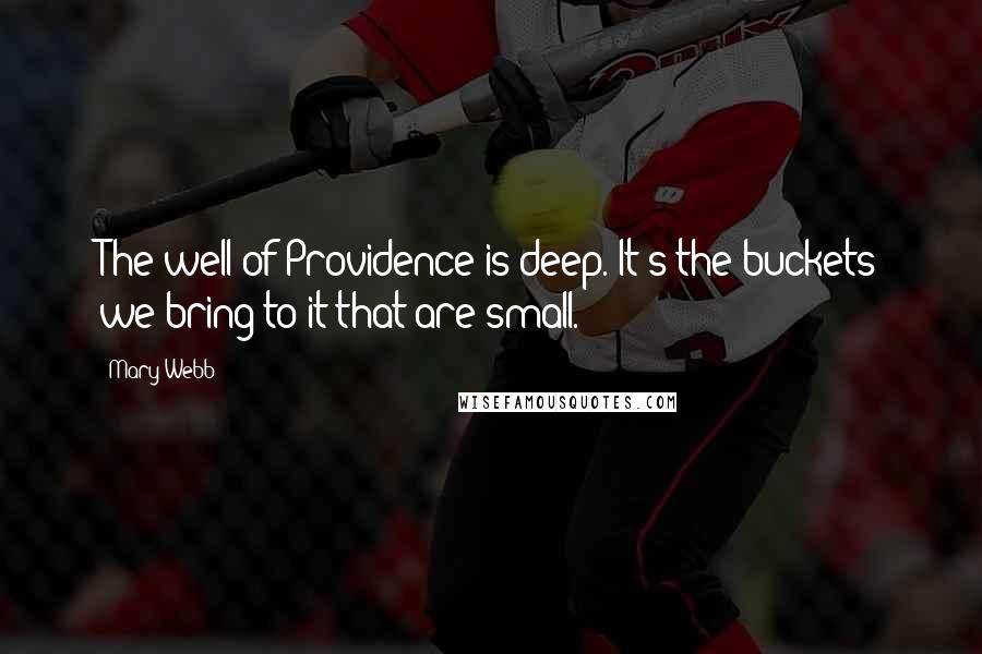 Mary Webb Quotes: The well of Providence is deep. It's the buckets we bring to it that are small.