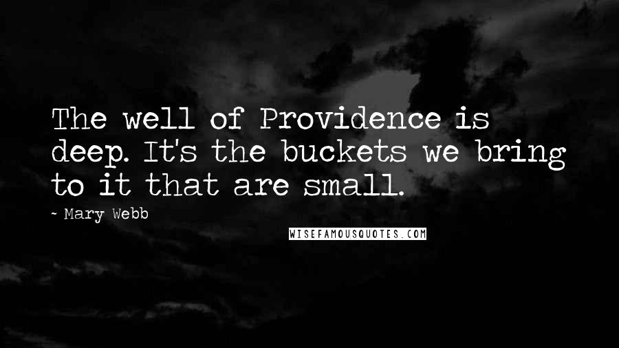 Mary Webb Quotes: The well of Providence is deep. It's the buckets we bring to it that are small.