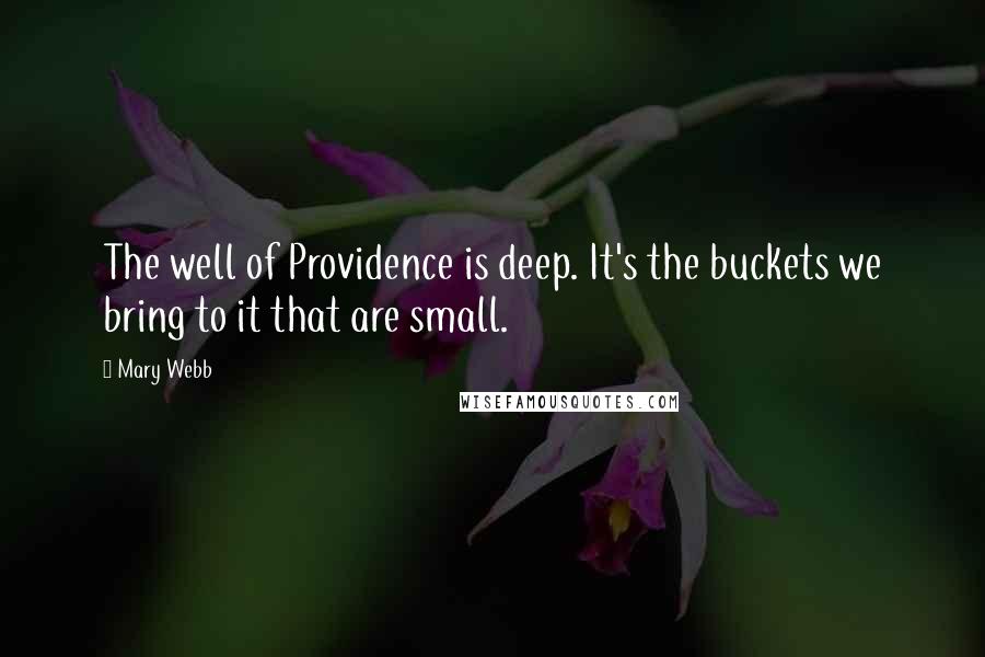Mary Webb Quotes: The well of Providence is deep. It's the buckets we bring to it that are small.