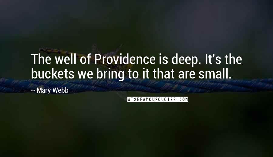 Mary Webb Quotes: The well of Providence is deep. It's the buckets we bring to it that are small.