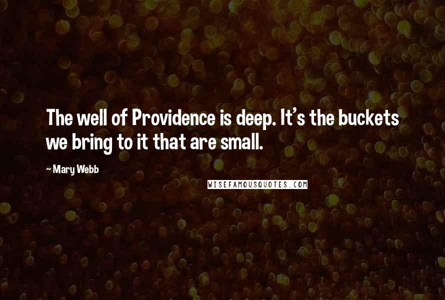 Mary Webb Quotes: The well of Providence is deep. It's the buckets we bring to it that are small.