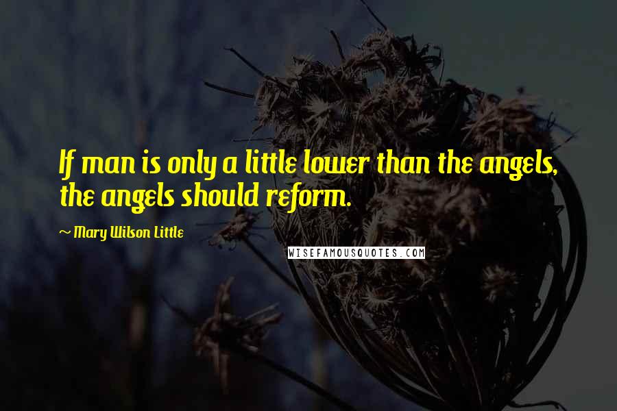 Mary Wilson Little Quotes: If man is only a little lower than the angels, the angels should reform.