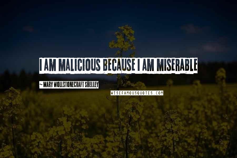 Mary Wollstonecraft Shelley Quotes: I am malicious because I am miserable