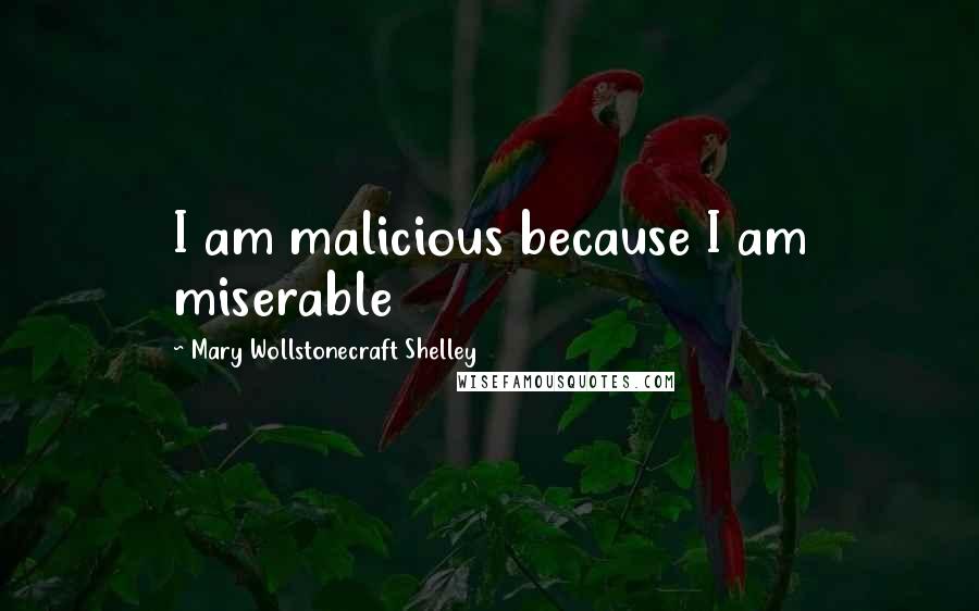 Mary Wollstonecraft Shelley Quotes: I am malicious because I am miserable