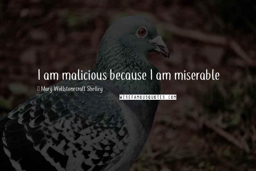 Mary Wollstonecraft Shelley Quotes: I am malicious because I am miserable