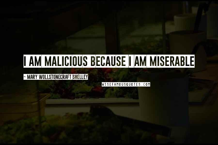 Mary Wollstonecraft Shelley Quotes: I am malicious because I am miserable