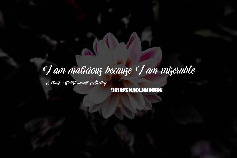 Mary Wollstonecraft Shelley Quotes: I am malicious because I am miserable