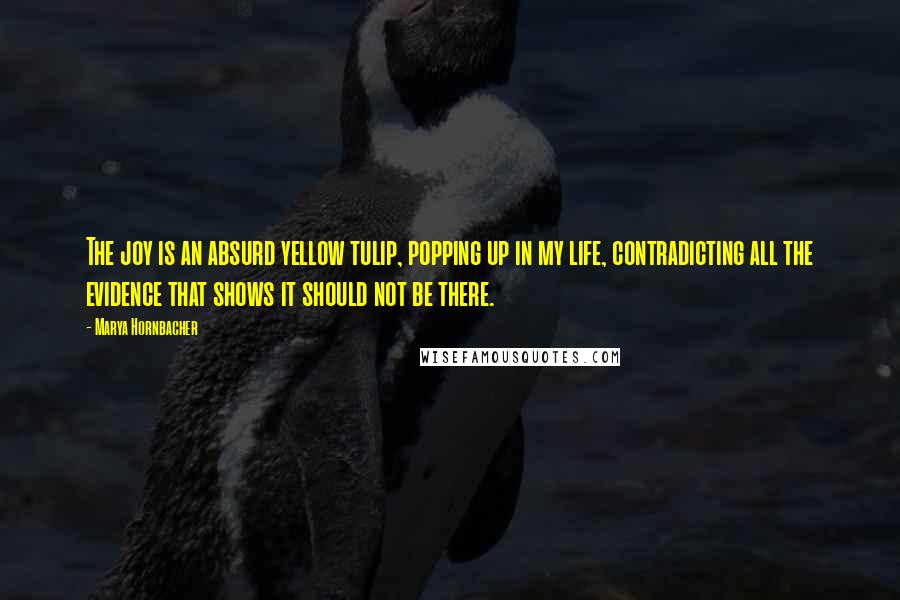 Marya Hornbacher Quotes: The joy is an absurd yellow tulip, popping up in my life, contradicting all the evidence that shows it should not be there.