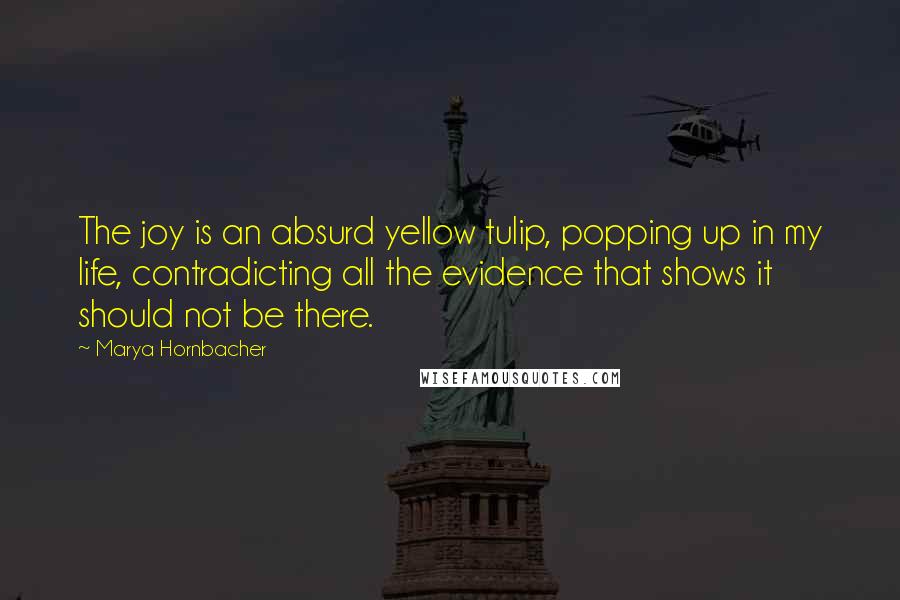 Marya Hornbacher Quotes: The joy is an absurd yellow tulip, popping up in my life, contradicting all the evidence that shows it should not be there.