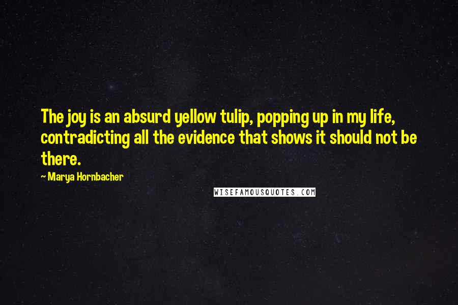 Marya Hornbacher Quotes: The joy is an absurd yellow tulip, popping up in my life, contradicting all the evidence that shows it should not be there.