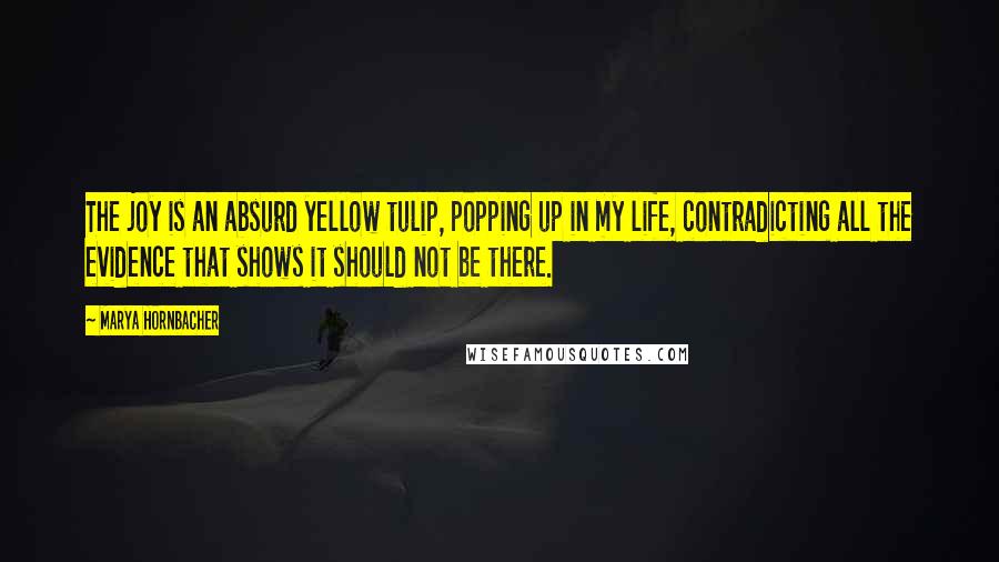 Marya Hornbacher Quotes: The joy is an absurd yellow tulip, popping up in my life, contradicting all the evidence that shows it should not be there.
