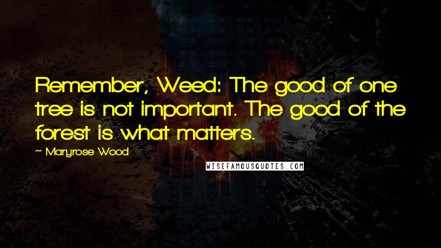 Maryrose Wood Quotes: Remember, Weed: The good of one tree is not important. The good of the forest is what matters.