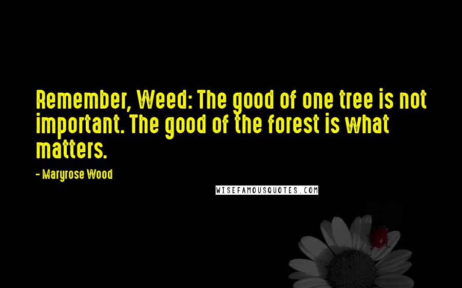 Maryrose Wood Quotes: Remember, Weed: The good of one tree is not important. The good of the forest is what matters.