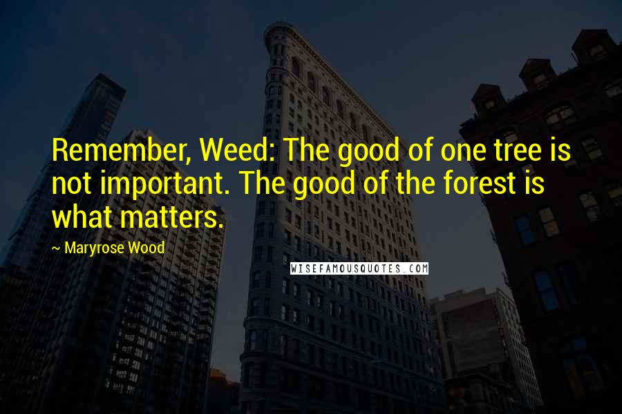 Maryrose Wood Quotes: Remember, Weed: The good of one tree is not important. The good of the forest is what matters.