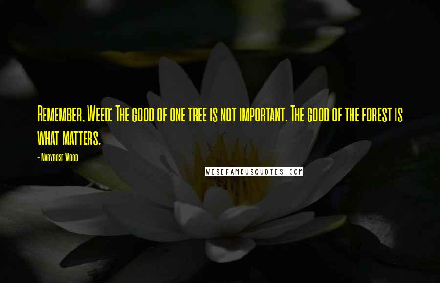 Maryrose Wood Quotes: Remember, Weed: The good of one tree is not important. The good of the forest is what matters.